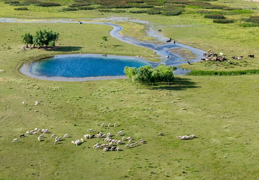 Konya’nın en büyük gölündeki büyüleyici kareler, felaketin işareti 7